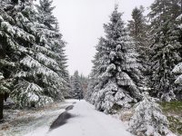 La première neige de l'hiver, toujours une bonne excuse pour prendre l'air dans les Hautes Fagnes (27/11/2023)